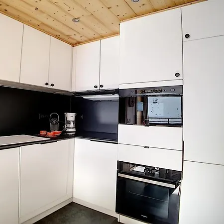 Biellaz - Renove - Depart Et Retour Skis Aux Pieds - Parking Inclus Mae-0034 Appartamento